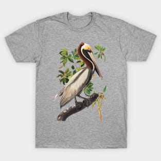 Brown Pelican by Audubon T-Shirt